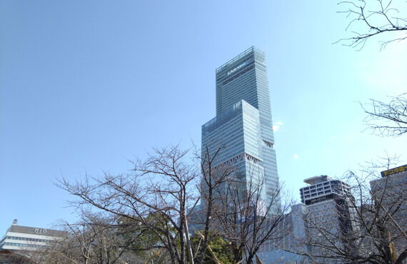 天王寺の泌尿器科が前立腺肥大症を解説します