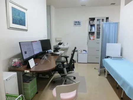 内観